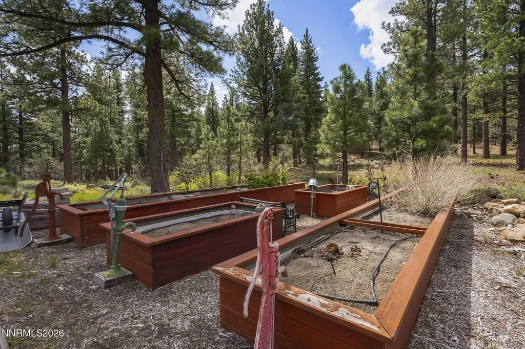 60 Yellow Pine Reno NV 89511