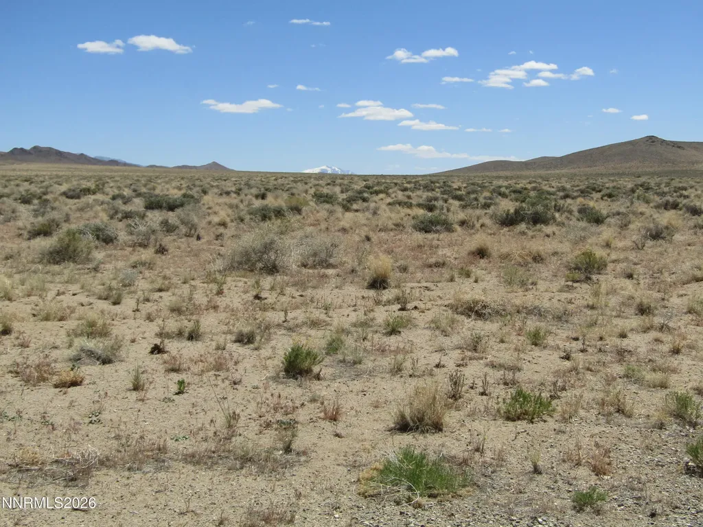 61 Fox Yerington NV 89447