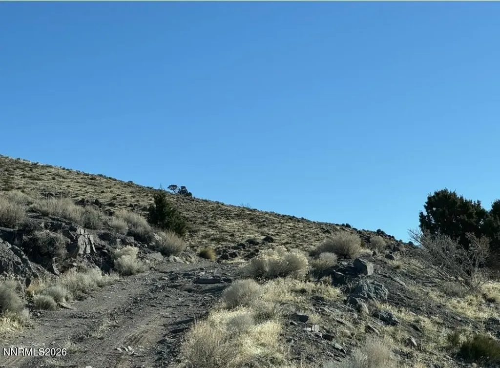 3355 Cougar Reno NV 89510