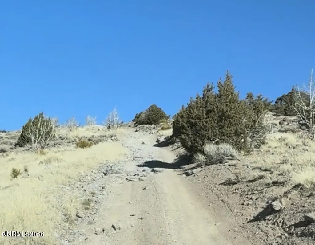3355 Cougar Reno NV 89510