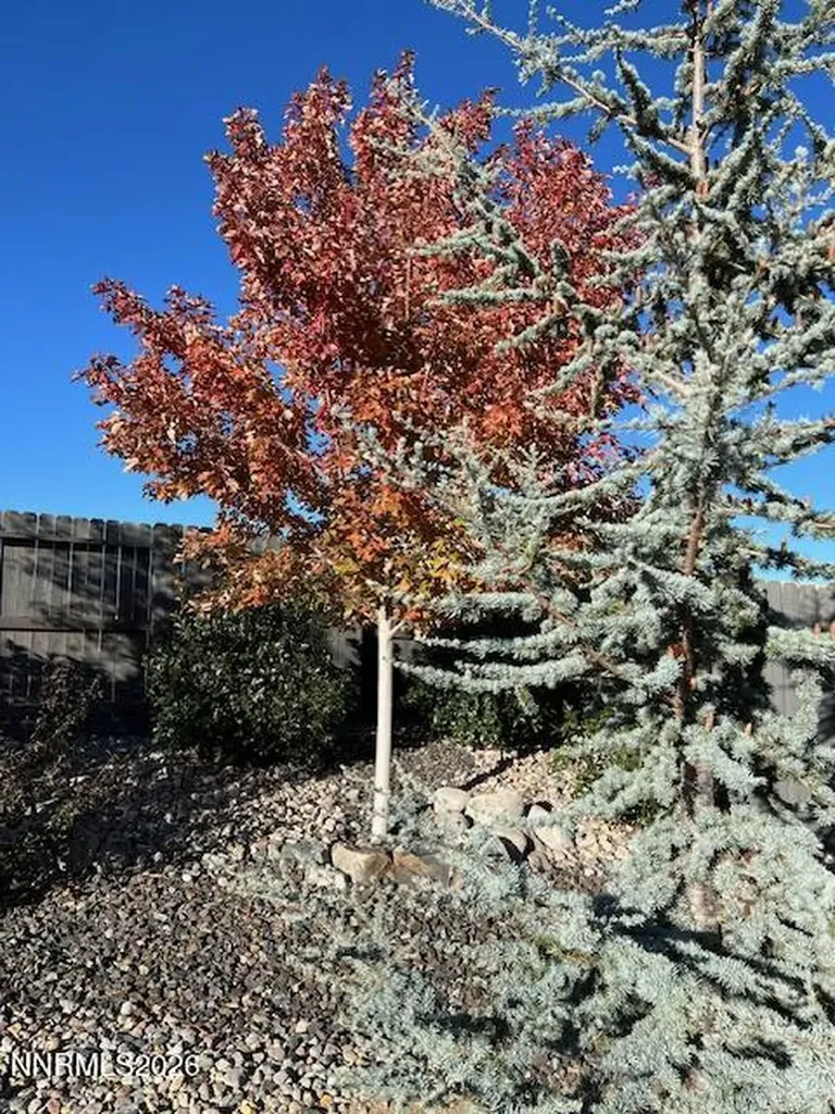 108 Alamosa Dayton NV 89403