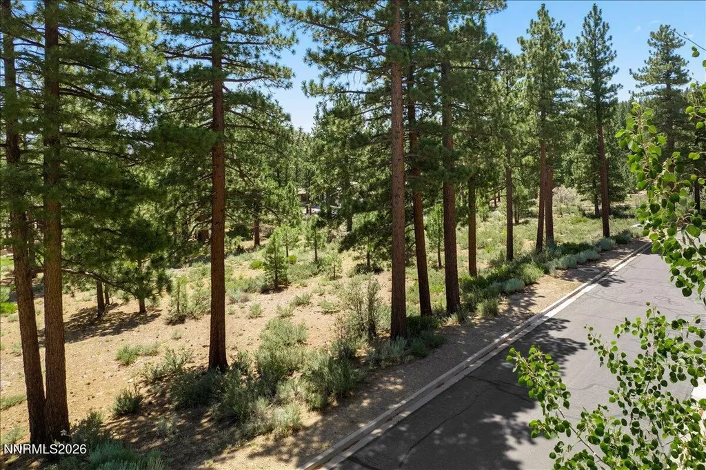 279 Jeffrey Pine Reno NV 89511