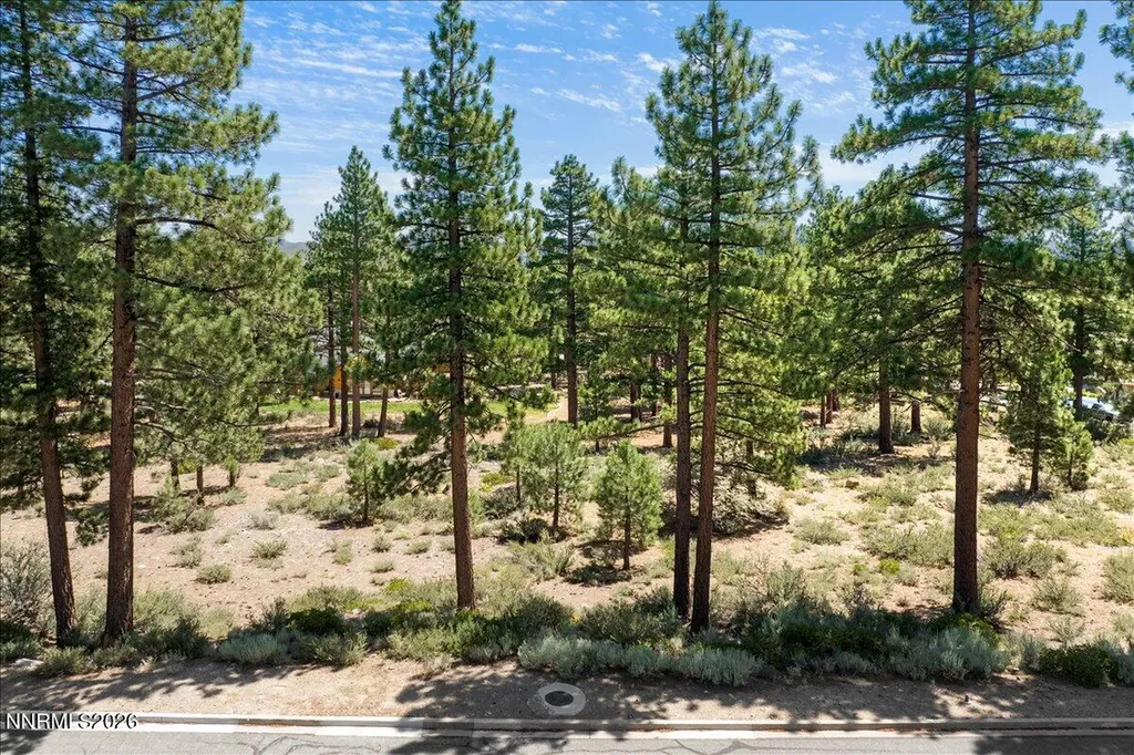 279 Jeffrey Pine Reno NV 89511