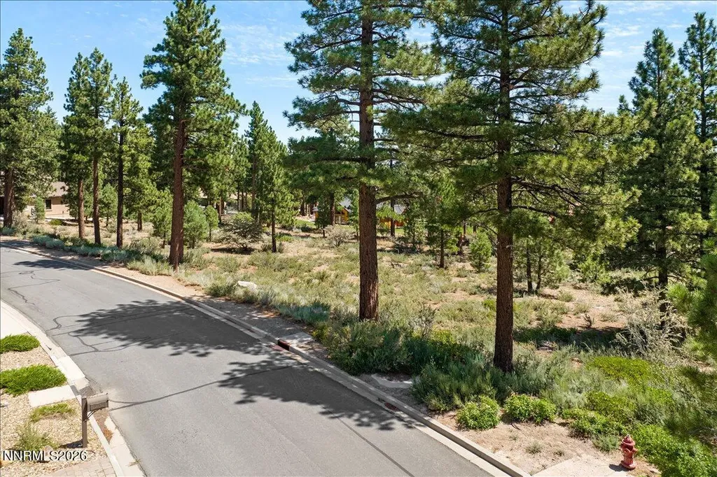 279 Jeffrey Pine Reno NV 89511