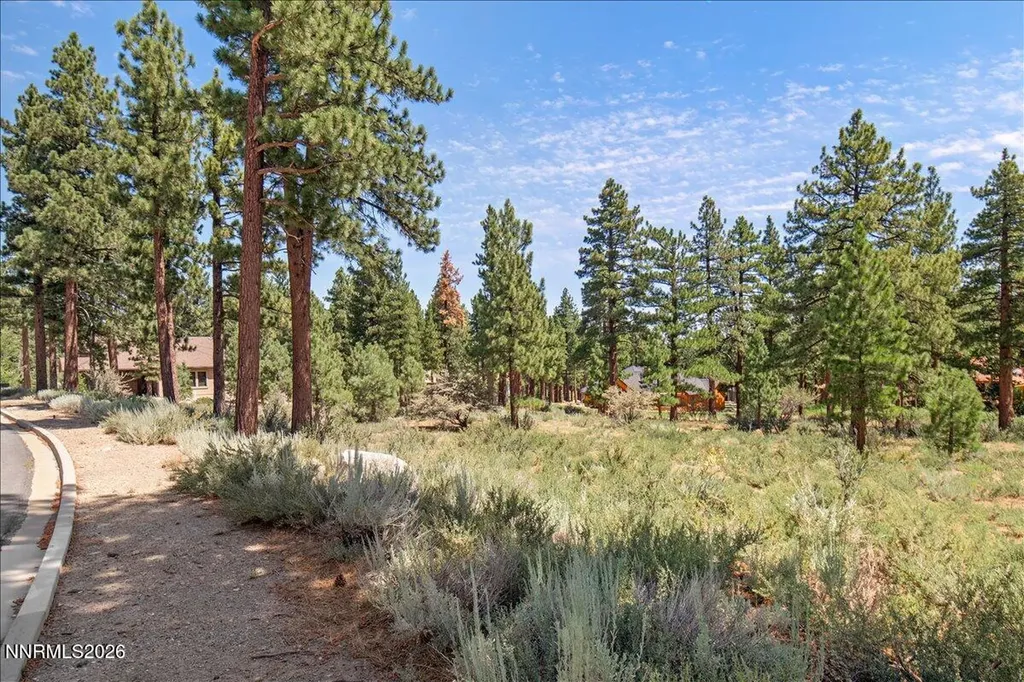 279 Jeffrey Pine Reno NV 89511