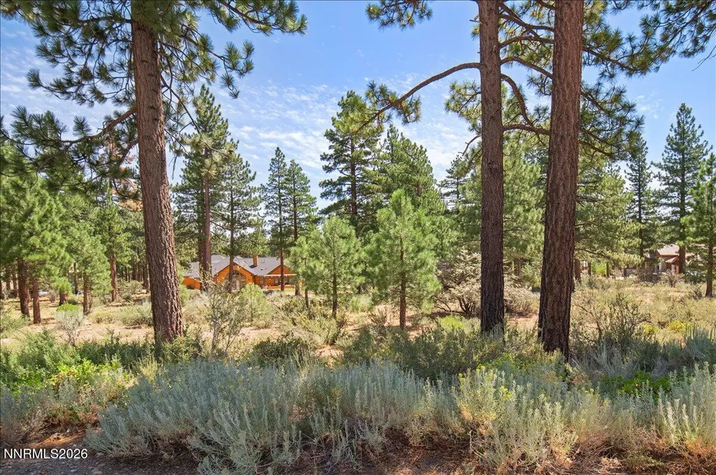 279 Jeffrey Pine Reno NV 89511