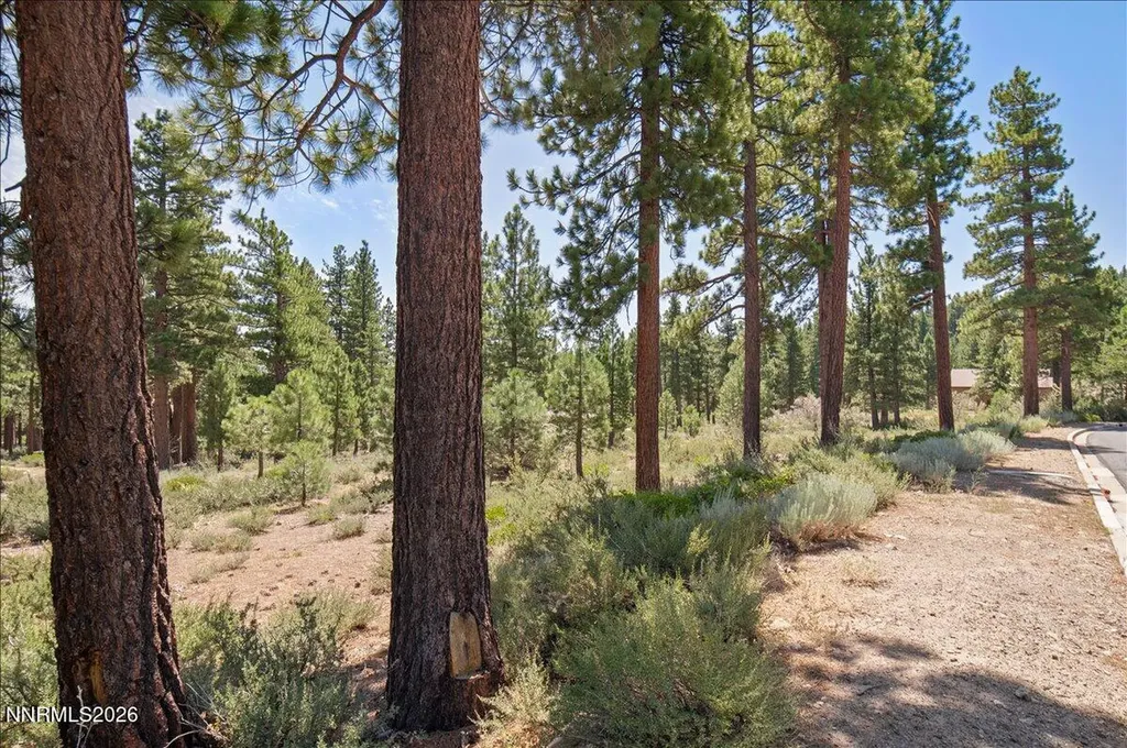 279 Jeffrey Pine Reno NV 89511