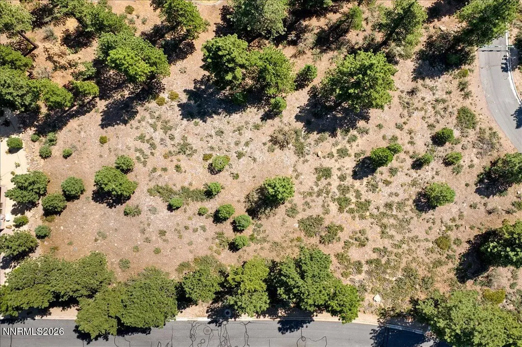 279 Jeffrey Pine Reno NV 89511