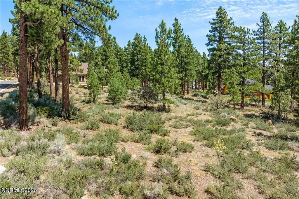 279 Jeffrey Pine Reno NV 89511