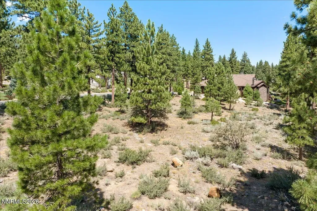 279 Jeffrey Pine Reno NV 89511