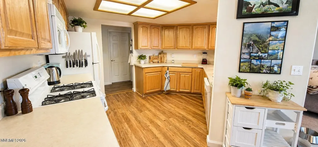2606 Wildrye Minden NV 89423