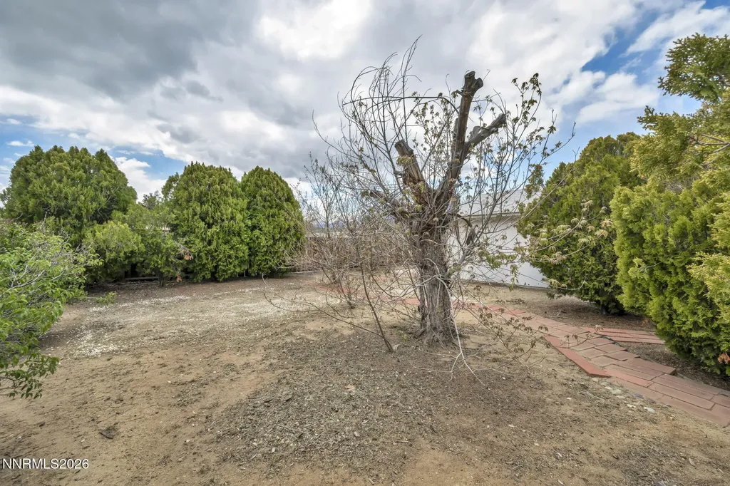 917 Loyola Carson City NV 89705