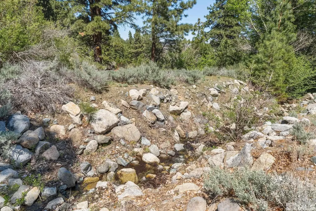 2414 Centennial Genoa NV 89411
