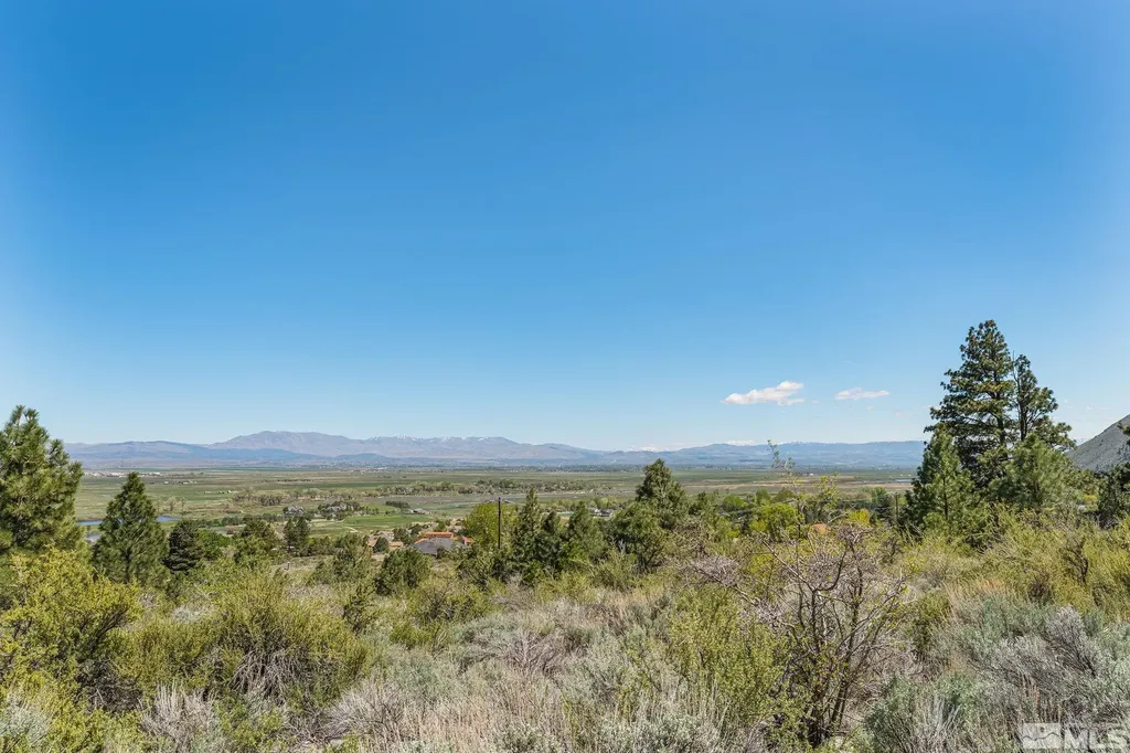 2414 Centennial Genoa NV 89411