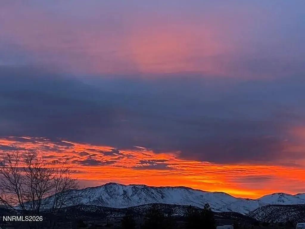 1324 Tamzy Gardnerville NV 89410