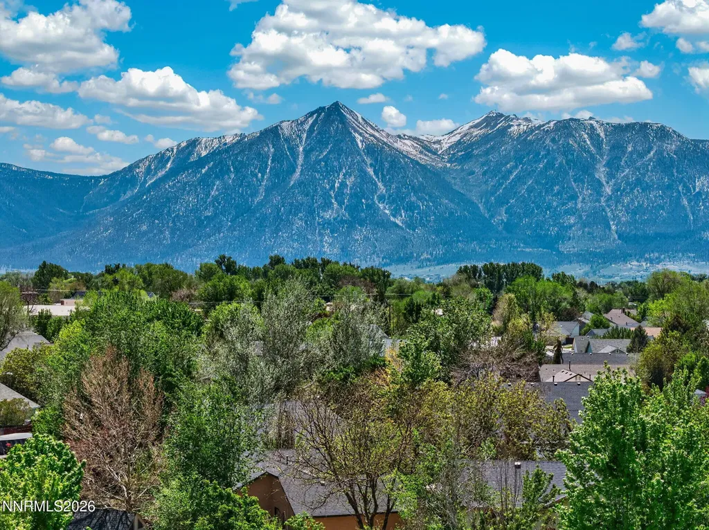 1351 Chichester Gardnerville NV 89410