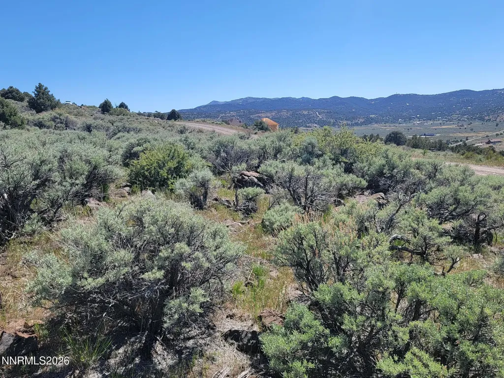 3120 Sheridan Reno NV 89521