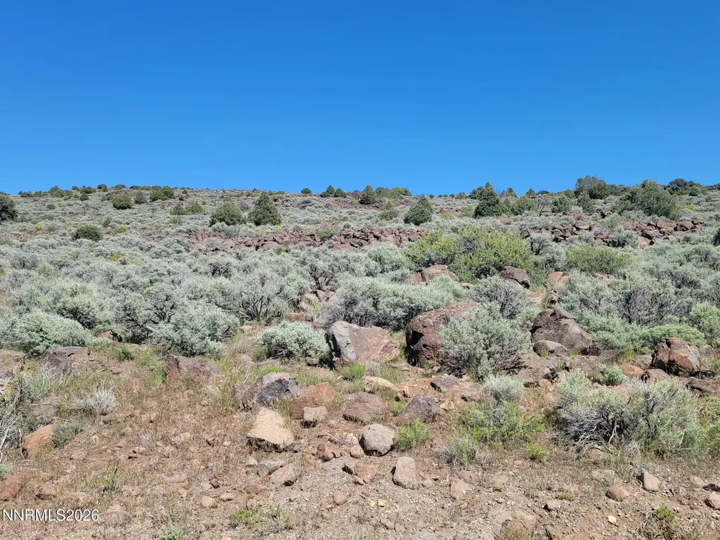 3120 Sheridan Reno NV 89521