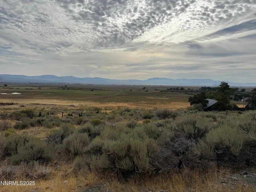 2585 Jacks Valley Genoa NV 89411