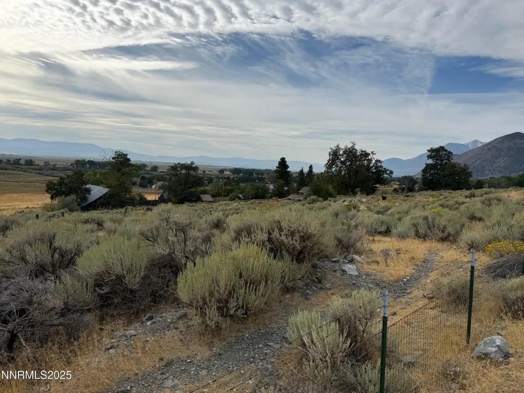 2585 Jacks Valley Genoa NV 89411