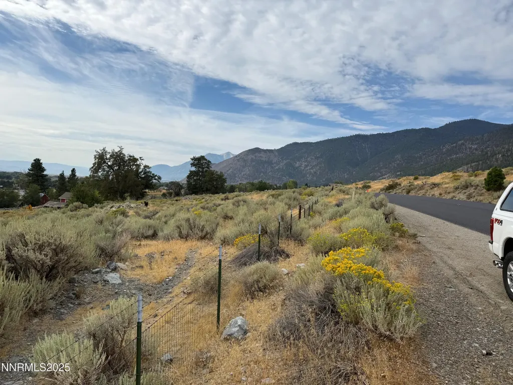 2585 Jacks Valley Genoa NV 89411