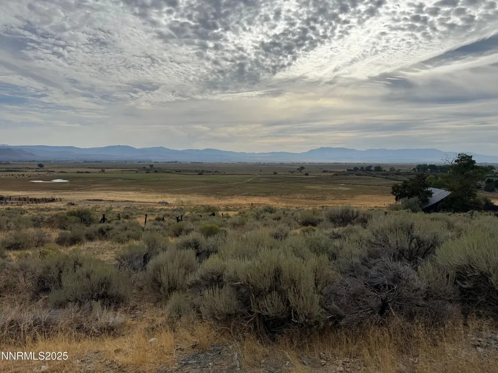 2585 Jacks Valley Genoa NV 89411