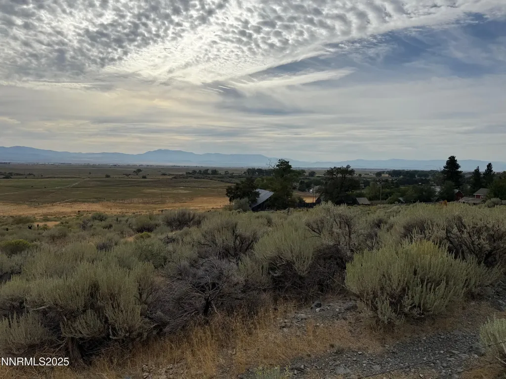 2585 Jacks Valley Genoa NV 89411