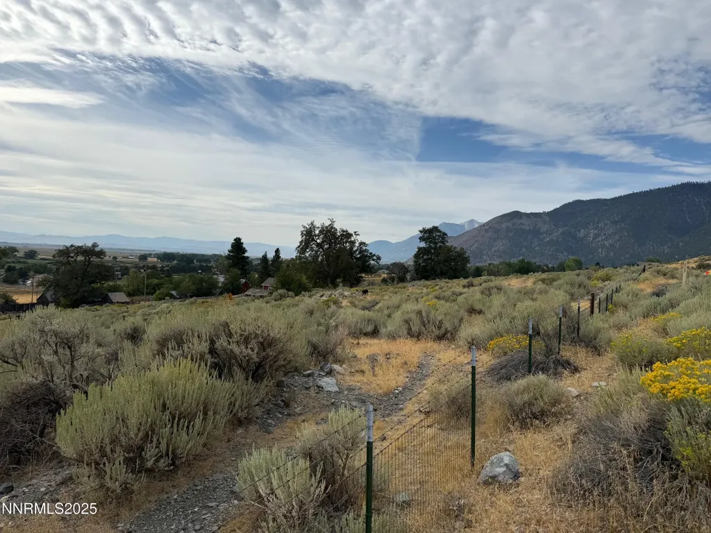 2585 Jacks Valley Genoa NV 89411