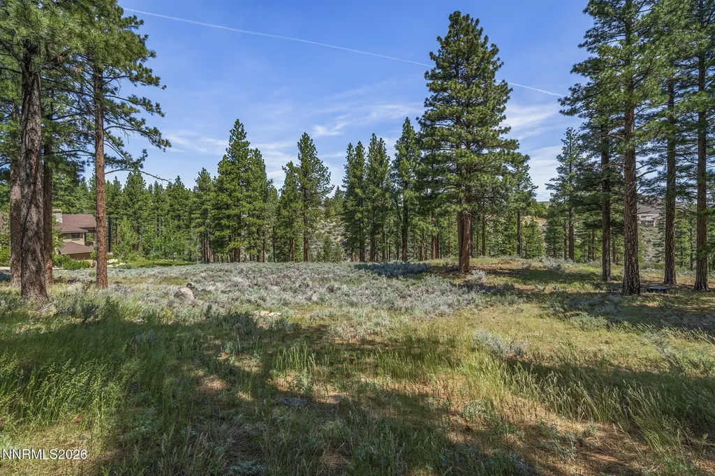 255 Timbercreek Reno NV 89511