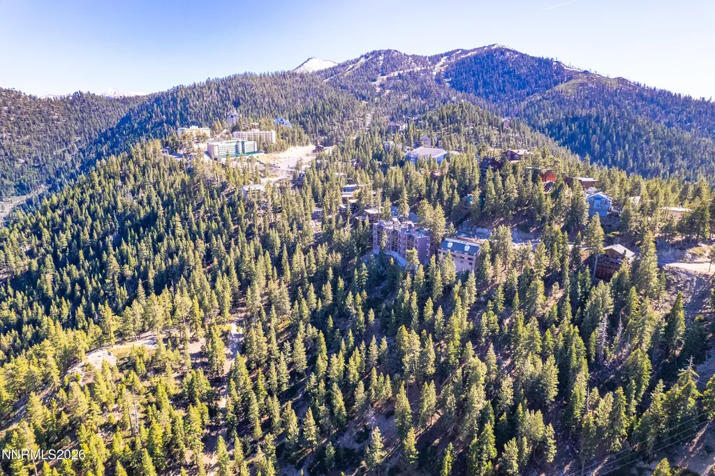 261 Quaking Aspen Stateline NV 89449
