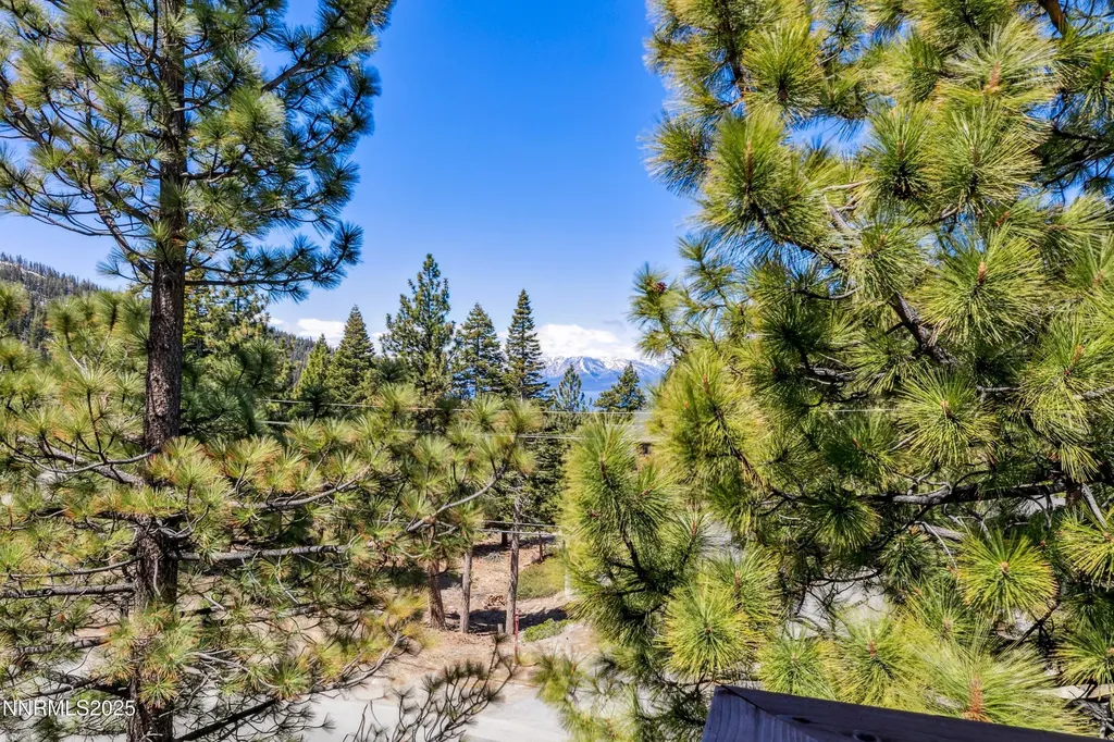 275 Tramway Stateline NV 89449
