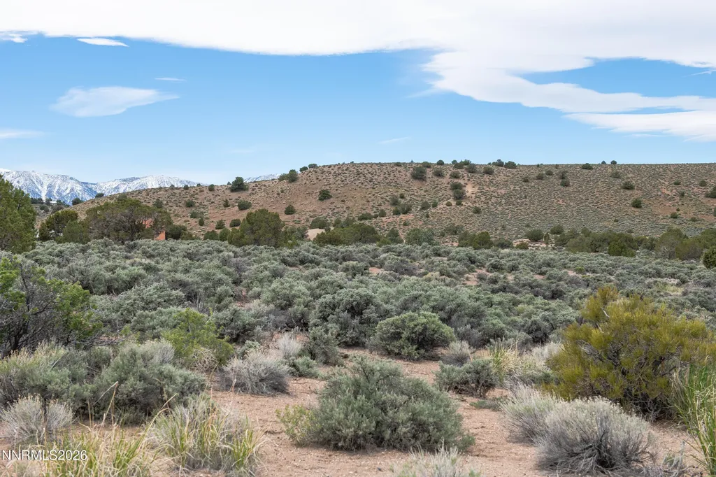 1648 Finch Gardnerville NV 89410