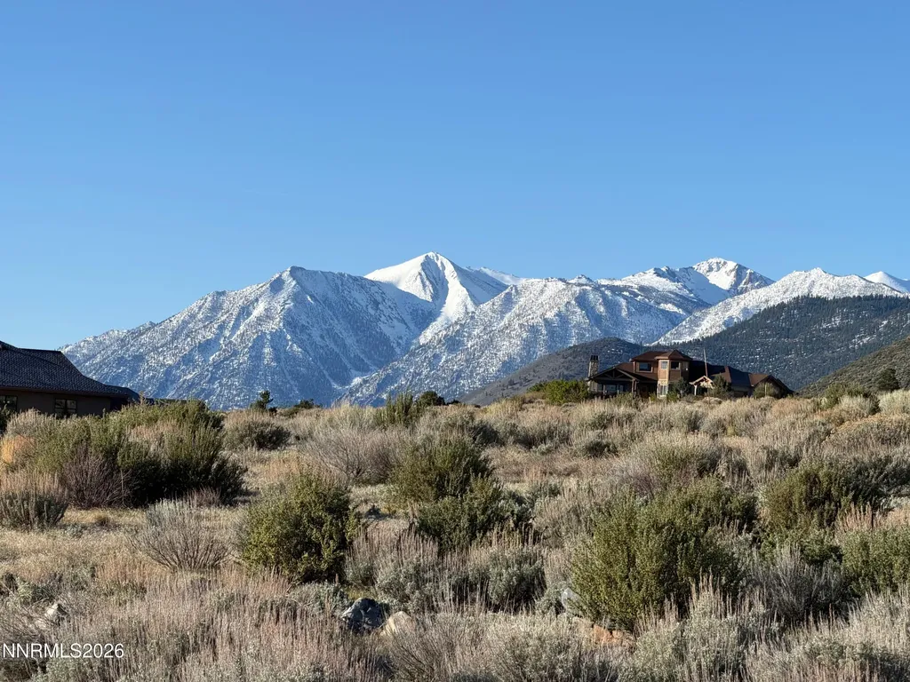 2953 Jacks Genoa NV 89411