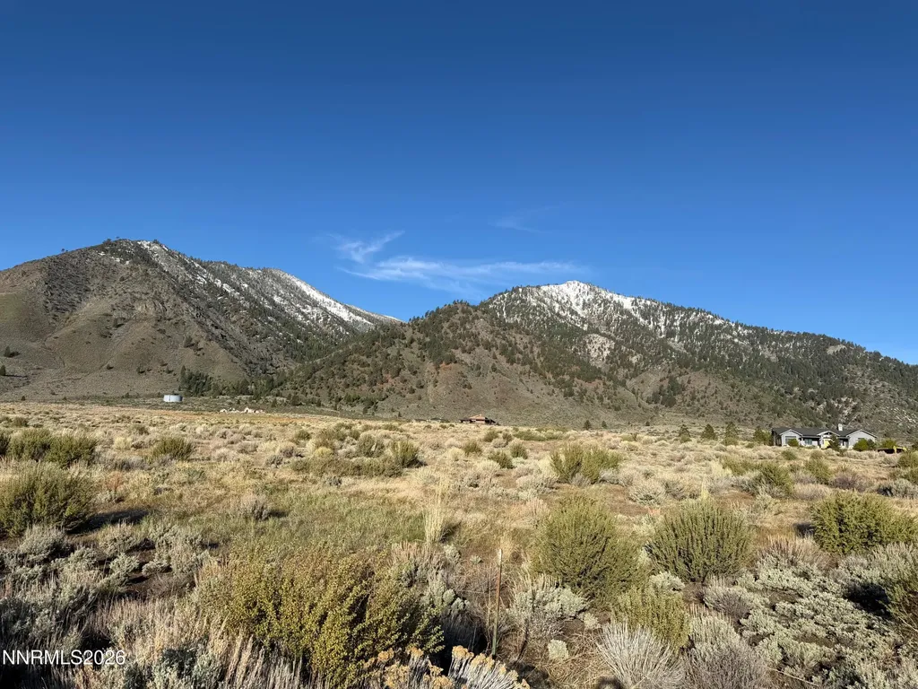 2953 Jacks Genoa NV 89411