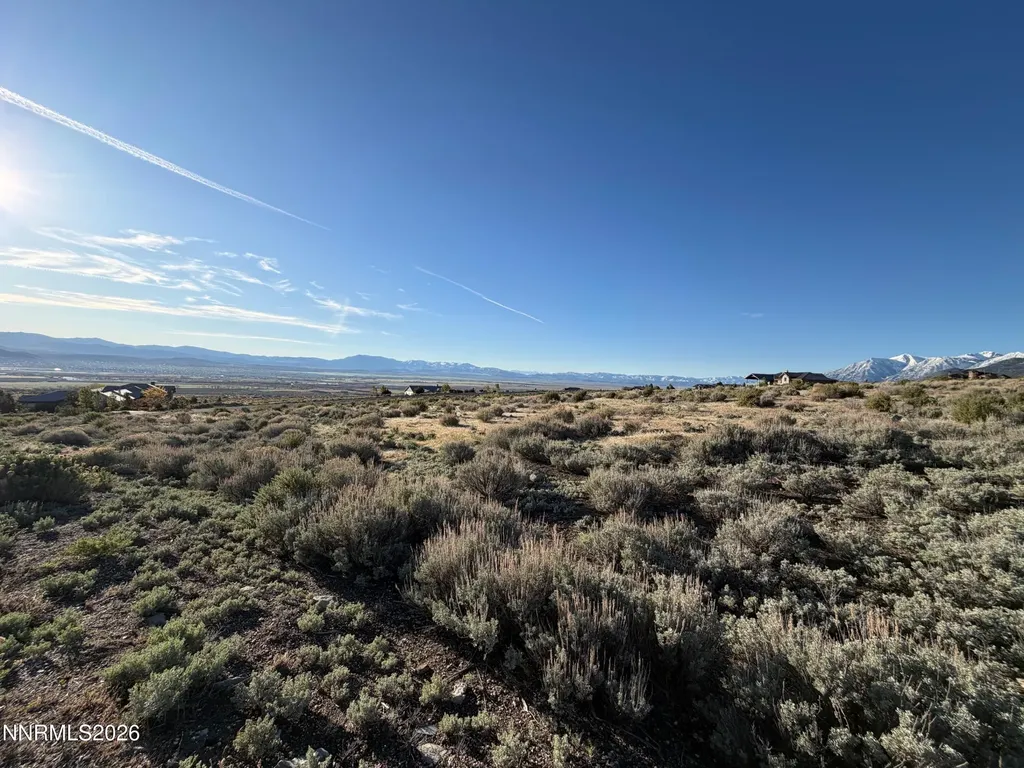 2953 Jacks Genoa NV 89411