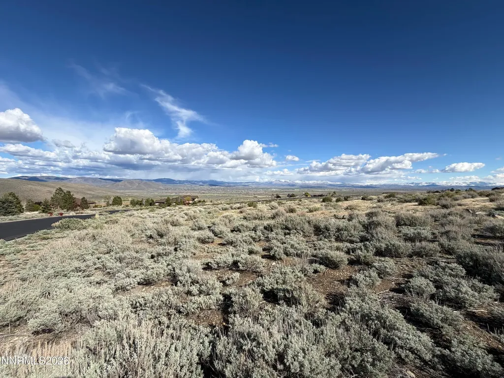 2953 Jacks Genoa NV 89411