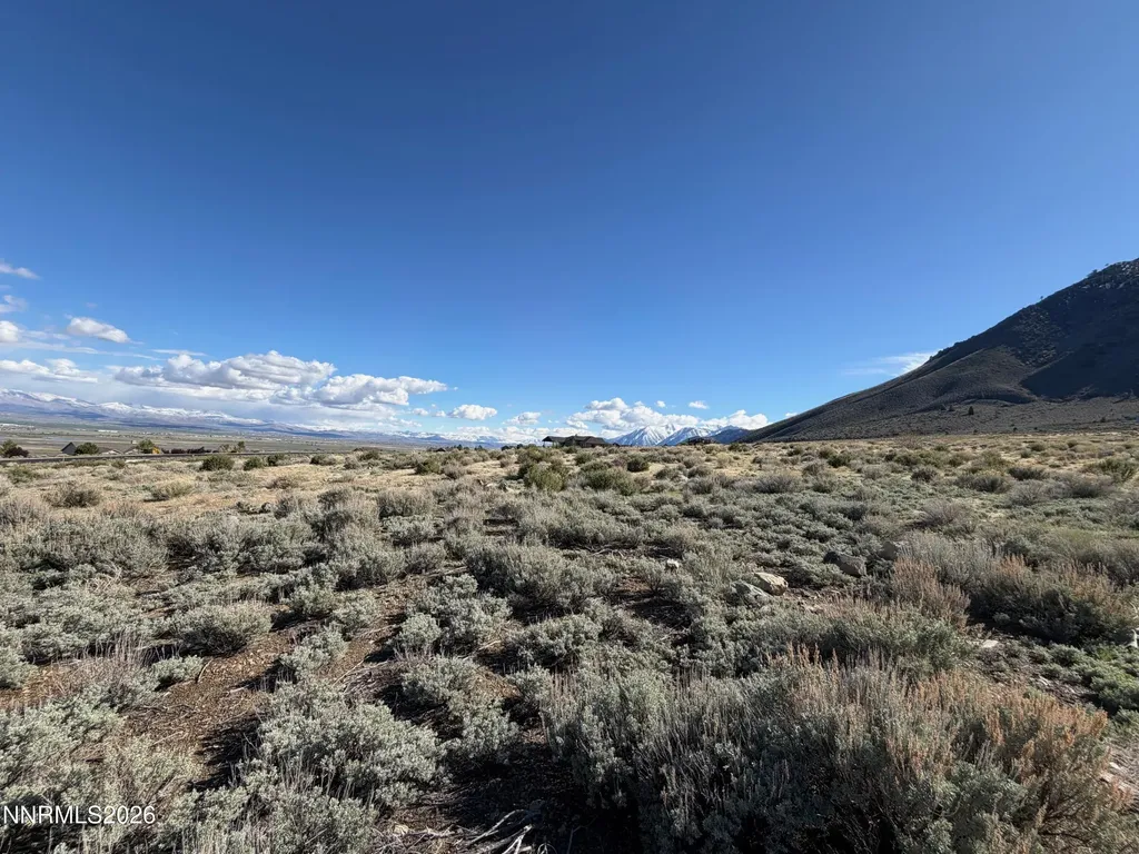 2953 Jacks Genoa NV 89411