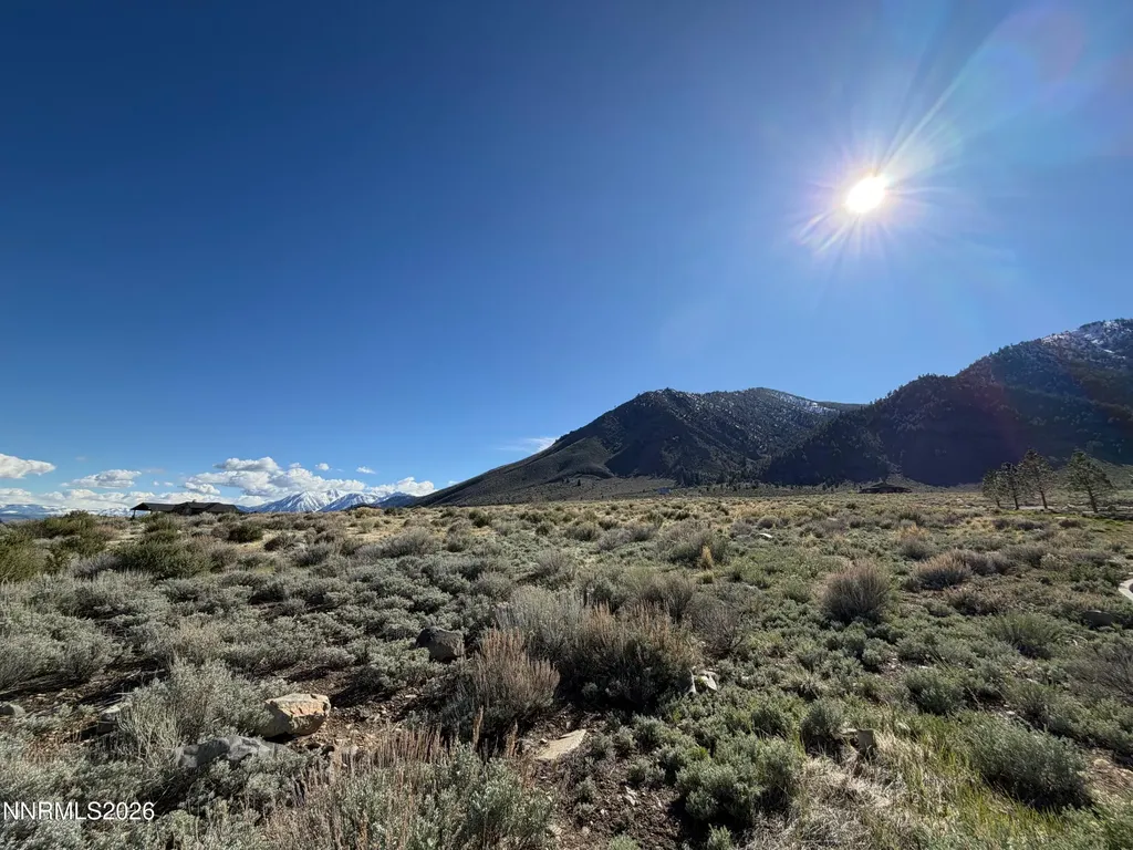 2953 Jacks Genoa NV 89411