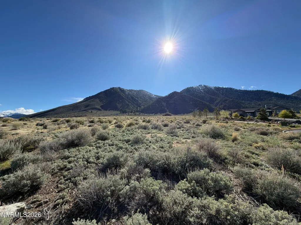 2953 Jacks Genoa NV 89411