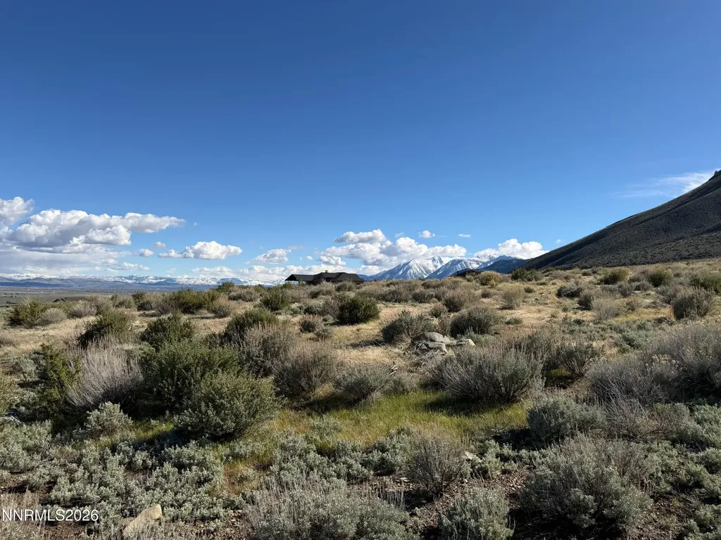 2953 Jacks Genoa NV 89411