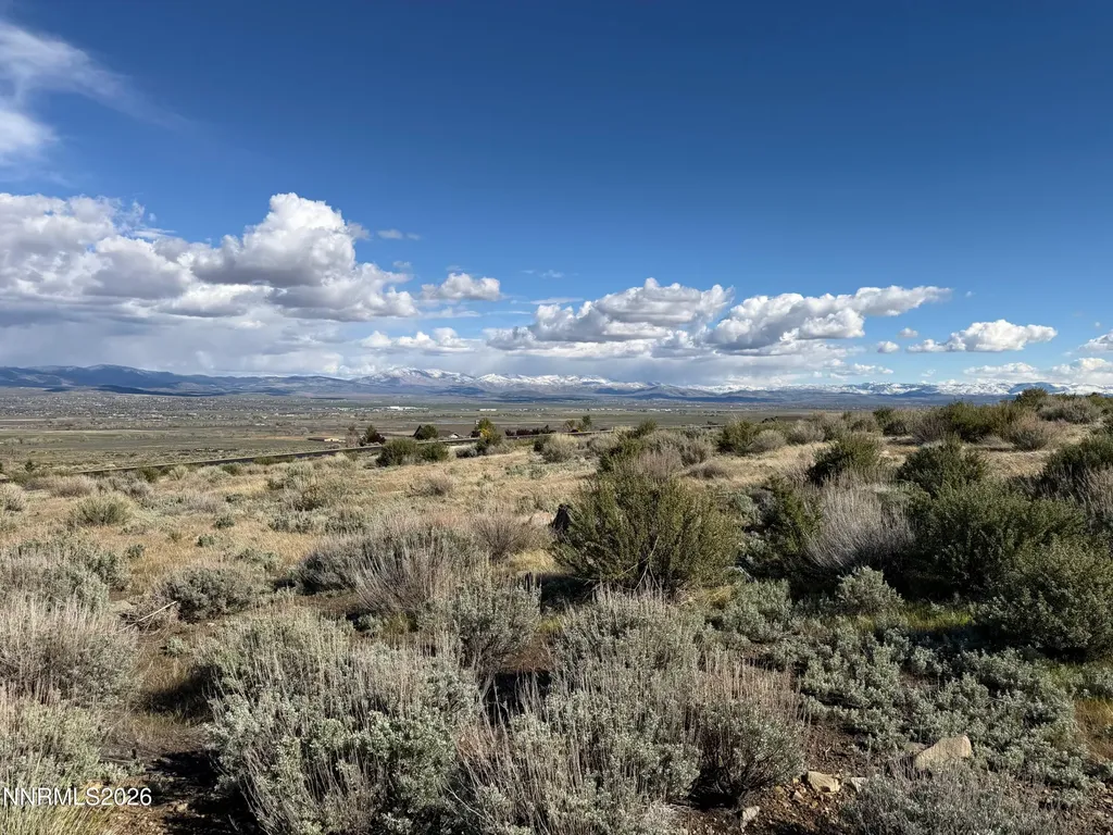 2953 Jacks Genoa NV 89411