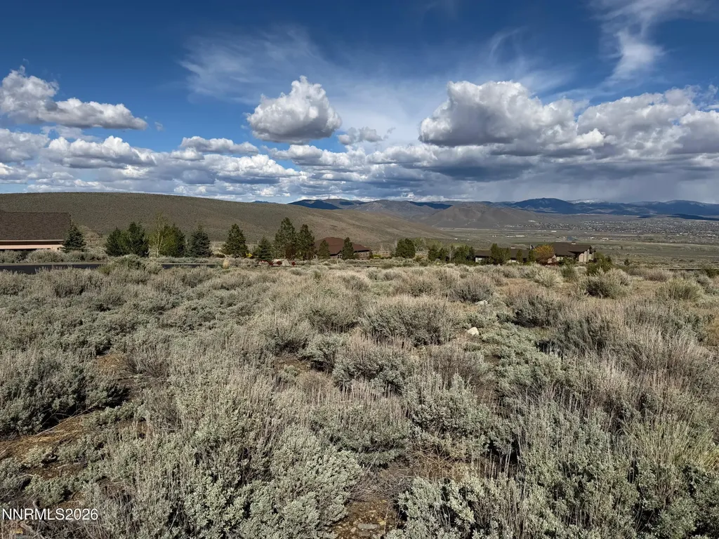 2953 Jacks Genoa NV 89411