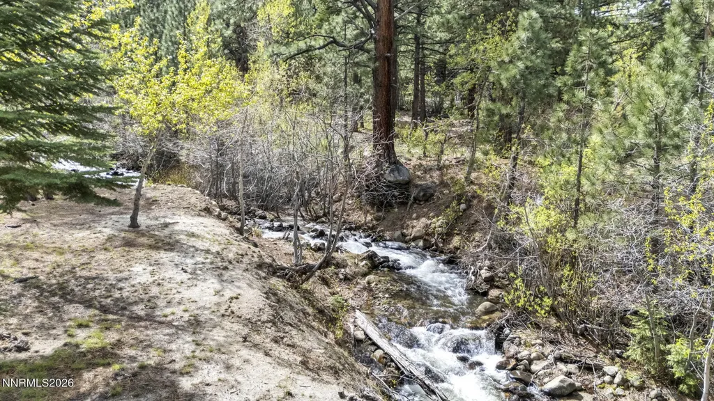 1300 Douglas Fir Reno NV 89511