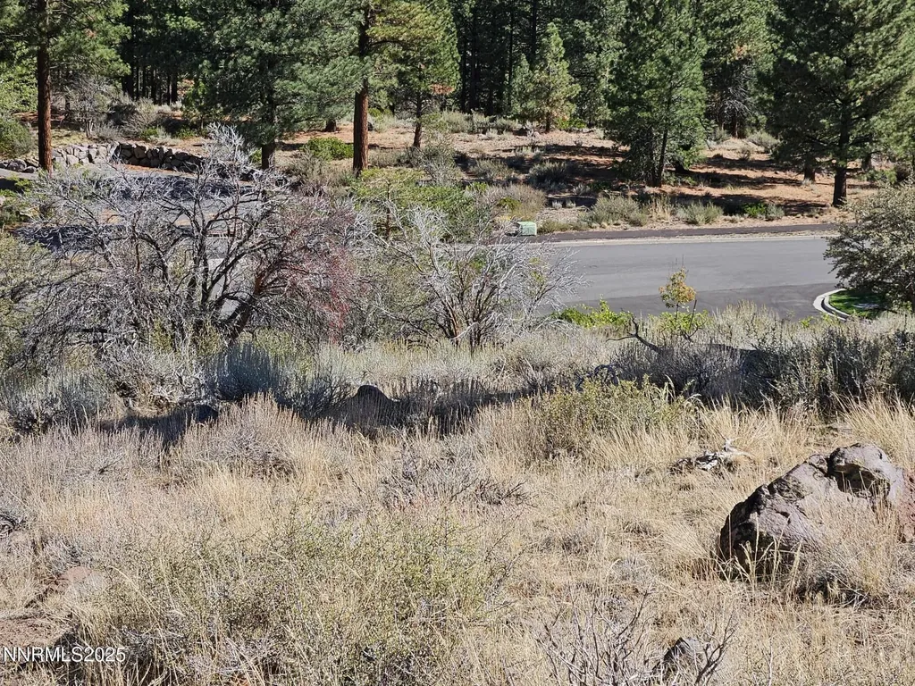 95 Bennington Reno NV 89511