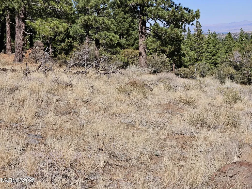 95 Bennington Reno NV 89511