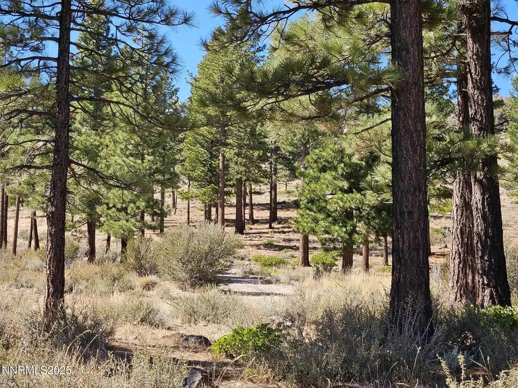 95 Bennington Reno NV 89511