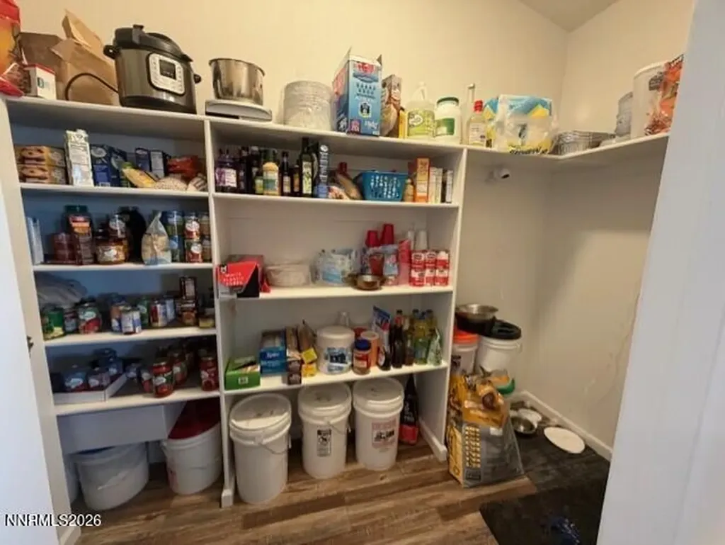 1135 Jungle Fallon NV 89406