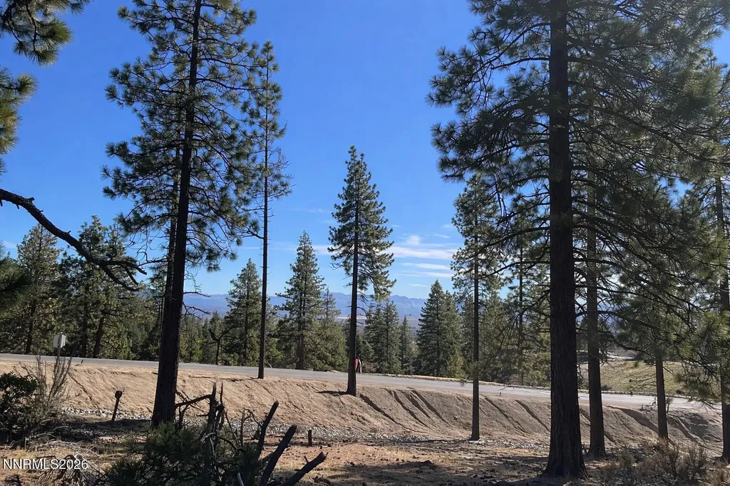 16 Boulders Bend Carson City NV 89705