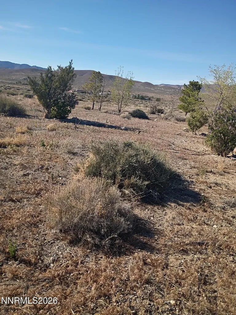 4505 Shirlee Silver Springs NV 89429