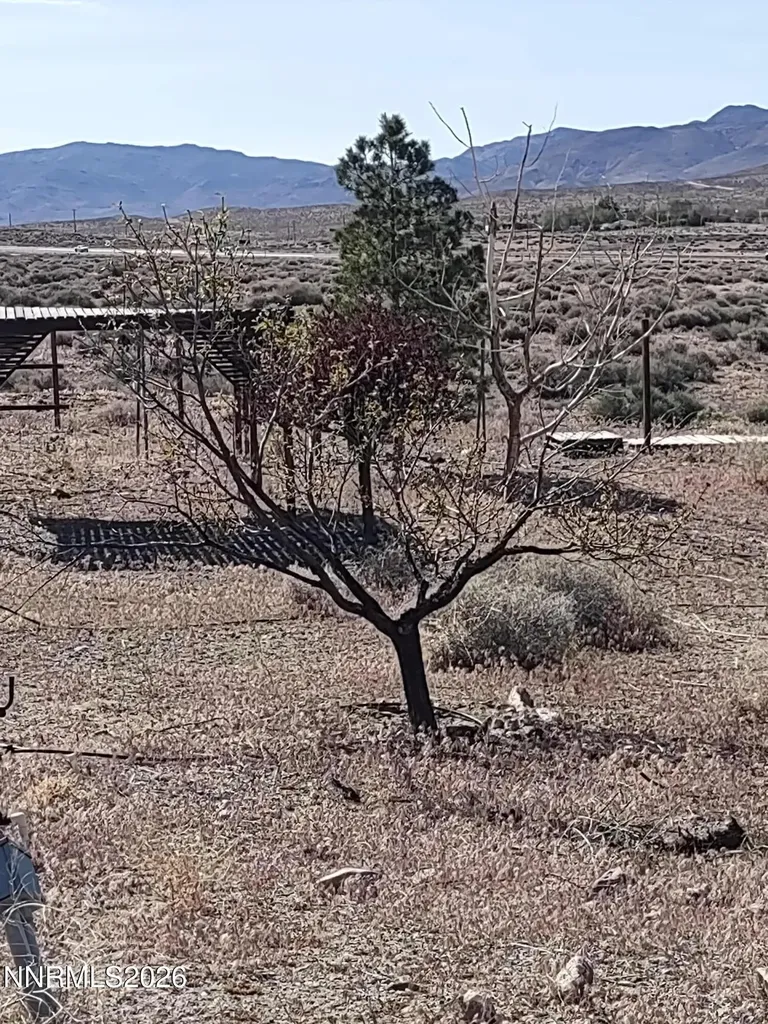 4505 Shirlee Silver Springs NV 89429